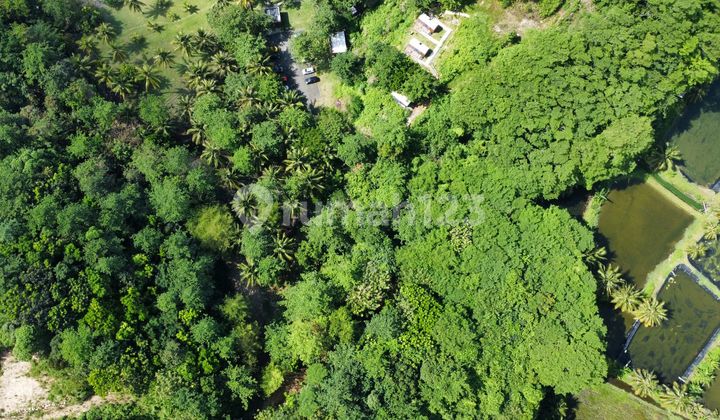 Sell Land Facing the Beach