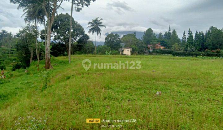 Jual tanah kavling Alesta STARS siap bangun  8