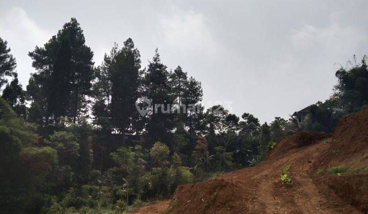 Tanah Murah Di Puncak Cocok Untuk Investasi Dimasa Depan 2