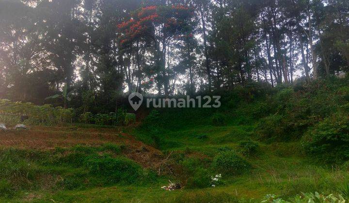 Jual Tanah SHM Di Cisarua Puncak Bogor Jawa Barat 2