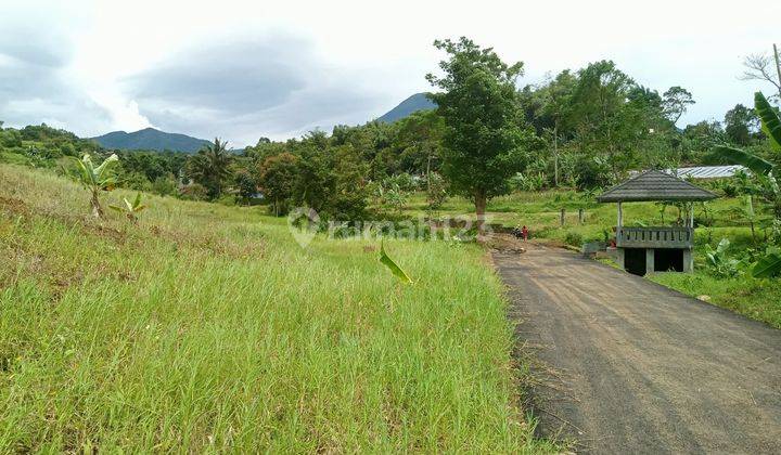 Tanah Murah Strategis Dijual Di Puncak Bogor Cocok Untuk Villa Atau Investasi  2