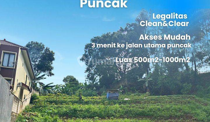 Dijual Tanah SHM Murah Di Puncak Cisarua Bogor  1