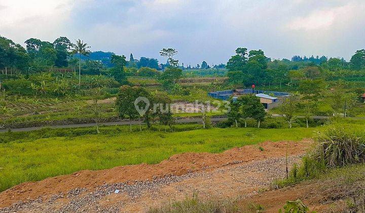 Tanah Murah Di Puncak Akses Mudah Dekat Ke Tempat Wisata  2