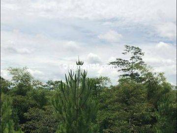 Ada Kavling Secengli Ini Luas Loh View Beuh.. Danau Dan Jembatan.. Sabi Deh Buat Invest.. Tatar Ratnasasih, Kota Baru Parahyangan 2