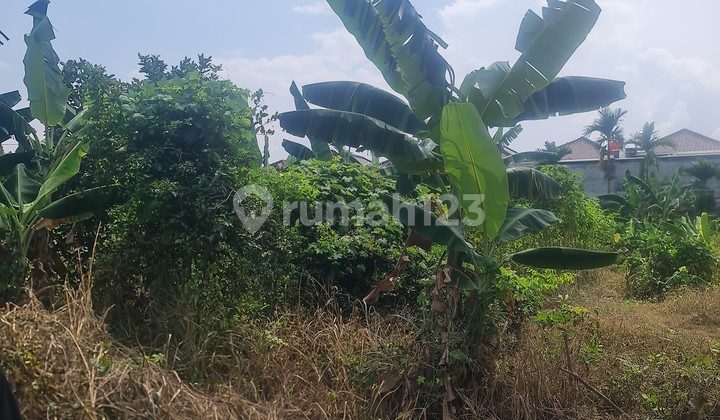 Tanah Kedamaian Indah