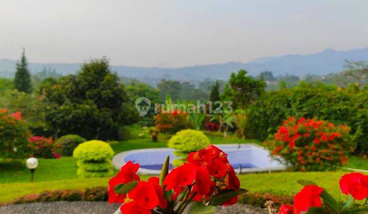 Sewa Villa Dekat Cimory Megamendung Puncak Bogor 6