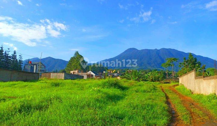 Dijual tanah deretan villa jalur alternatif taman safari puncak shm 1