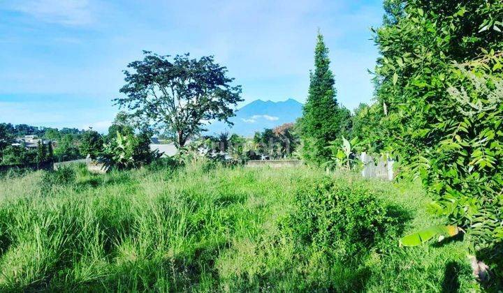 Tanah Pinggir Jalan Wisata Eiger Land Adventure Puncak Bogor Shm 2