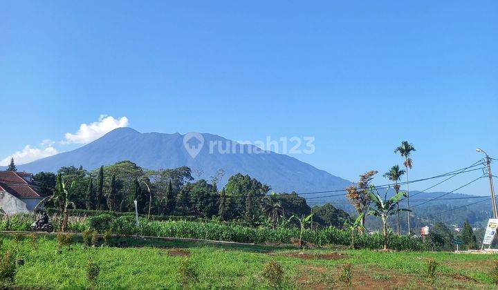 Tanah strategis Puncak Bogor view gunung dekat taman safari shm 1