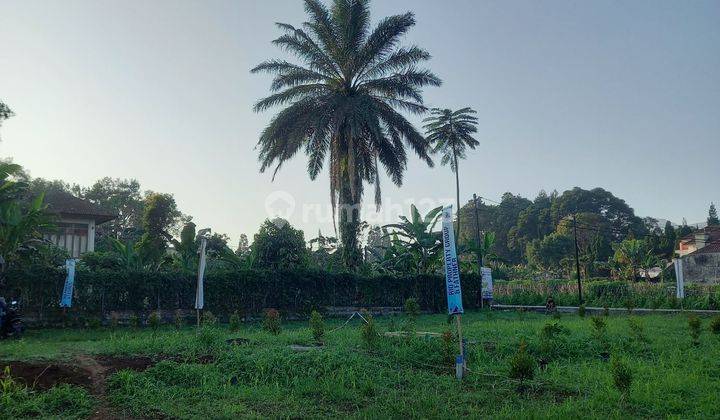 Tanah strategis Puncak Bogor view gunung dekat taman safari shm 2