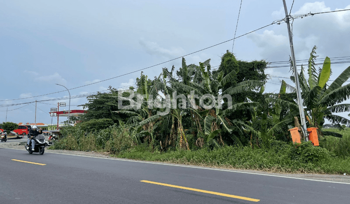 TANAH CERME GRESIK SIAP BANGUN 1