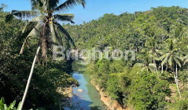 TANAH TABANAN BALI COCOK UNTUK VILLA ATAU TEMPAT WISATA 1