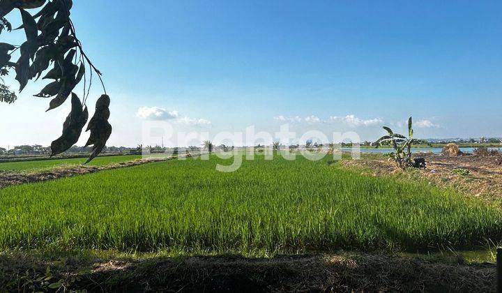 TANAH ZONA KOMERSIAL STRATEGIS 2 MENIT KE PINTU TOL CERME 2