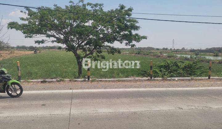 TANAH MURAH ZONA INDUSTRI NOL JALAN PROVINSI DEKAT PINTU TOL 2