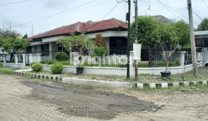 Darmo Harapan Surabaya Barat Rumah 1 Lantai Dekat Pakuwon Indah Siap Huni Terawat 1