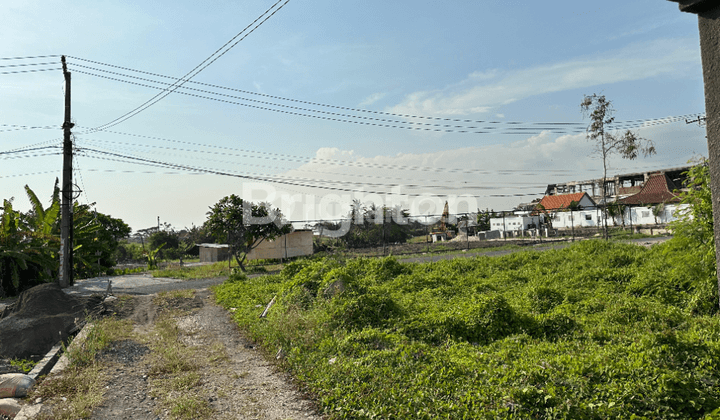 TANAH GREEN ZONE DAERAH PERERENAN DEKAT LYMA BEACH, LE BAJO 2