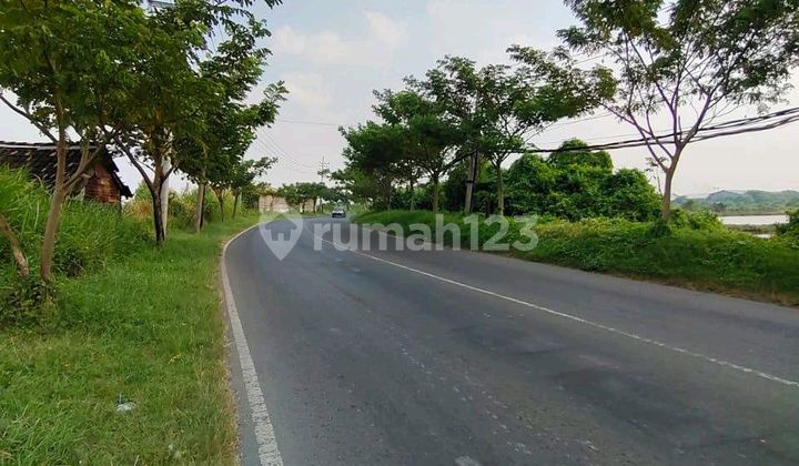 Tanah bisa untuk Industri Nol Jalan Jawar Benowo Surabaya Tanah bisa untuk Industri Nol Jalan Jawar Benowo Surabaya