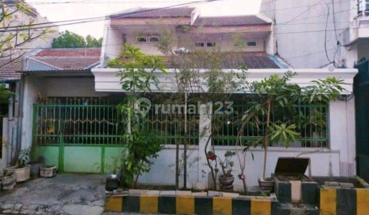 Rumah Hitung Tanah Murah Lokasi Ciamik Sutorejo Selatan 2