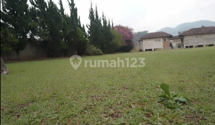 Di Jual Cepat Tanah Cocok Untuk Di Bikin Perumahan Di Jual Cepat Tanah Cocok Untuk Di Bikin Perumahan