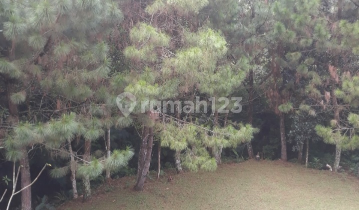 For Quick Sale: Villa Concept House in Dago Resort Location 2