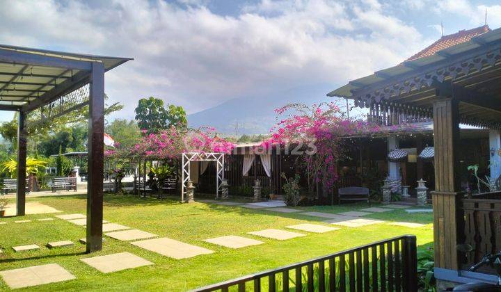 Villa Nyaman Asri Udara Sejuk View Gunung Cikuray di Cilawu, Garut 1