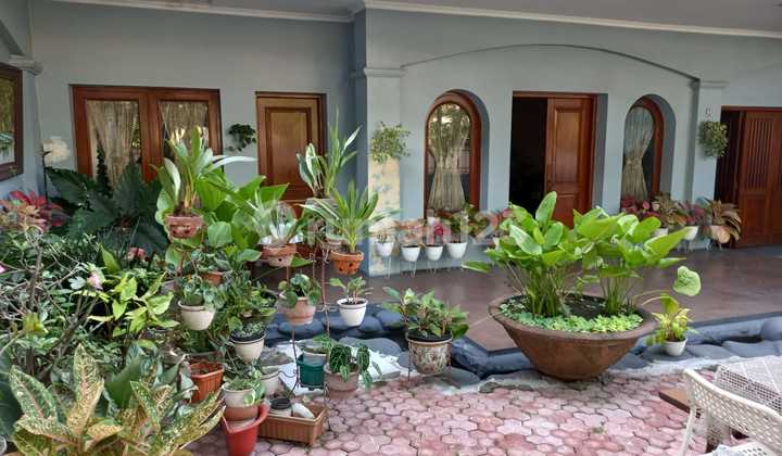 A serene residential and commercial property, nice 2.5-story house, surrounded by a garden, semi-furnished, freehold title, near the Market and Mall, accessible by Transjakarta and Angkot, located in Bintaro Permai, South Jakarta. 2