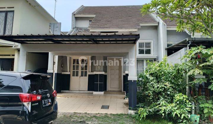 Rumah Disewakan 1