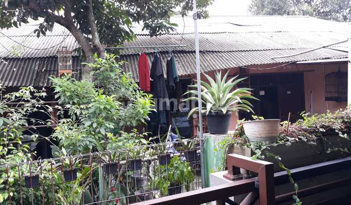 Tanah Plus Kontrakan Tanah Plus Kontrakan