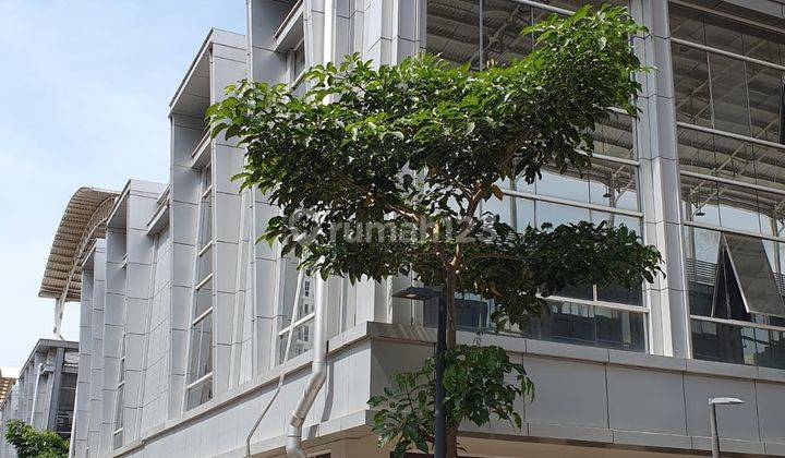 Ruko Shibuya Di Pik2 Pantai Indah Kapuk Posisi Hoek Mixused 2