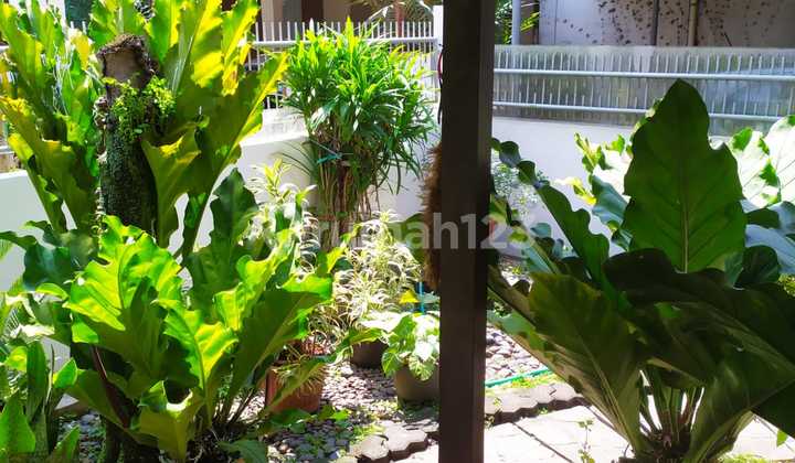 Dijual Rumah Tua Sayap Riau Hitung Tanah 1