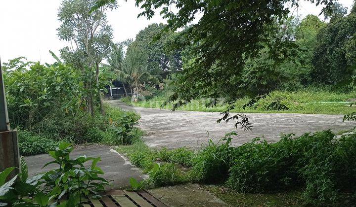 Gudang Semi Tertutup PRST Nanggewe Cibinong 5