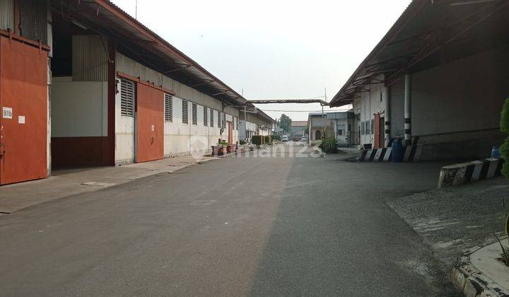 Di Sewakan Gudang Lokasi Jl.raya Bogor Jakarta Cimanggis Depok 1