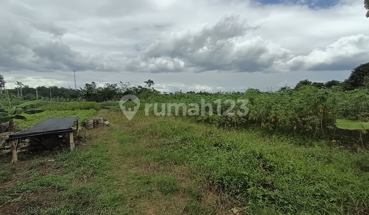 For Sale 6.6 Ha Land on a Hill in Citereup Sukahati Bogor For Sale 6.6 Ha Land on a Hill in Citereup Sukahati Bogor