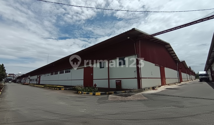 Warehouse For Rent C3/4 Area: 3,203 M2 Cimanggis Depok Ready to Use Neat. Warehouse For Rent C3/4 Area: 3,203 M2 Cimanggis Depok Ready to Use Neat.