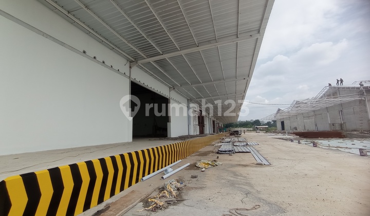 Warehouse for Rent 2,352 M2 Citereup Baru Ready to Use