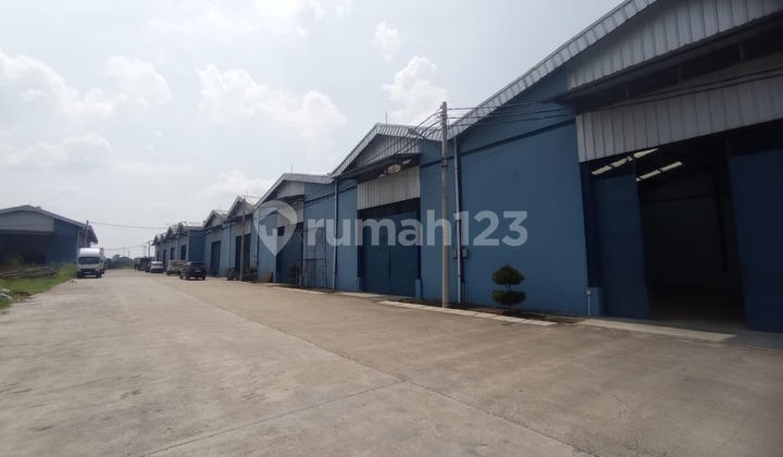 Warehouse for Rent/Sale Lb:300 M2 Ready to Use Strategic Location