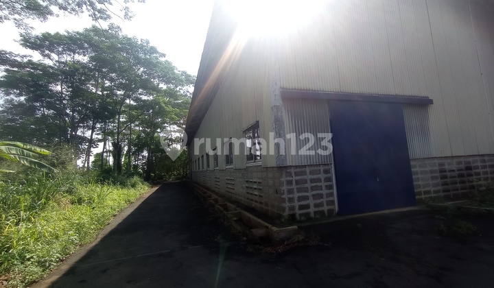 Warehouse for Rent Tajur 672 M2 Ready to Use and Strategic