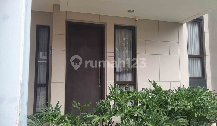 Mozia house for rent, William.