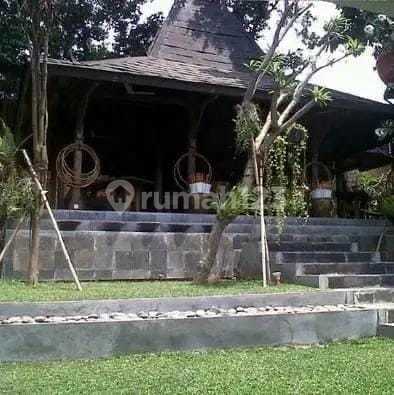 kemang utara,louis owr