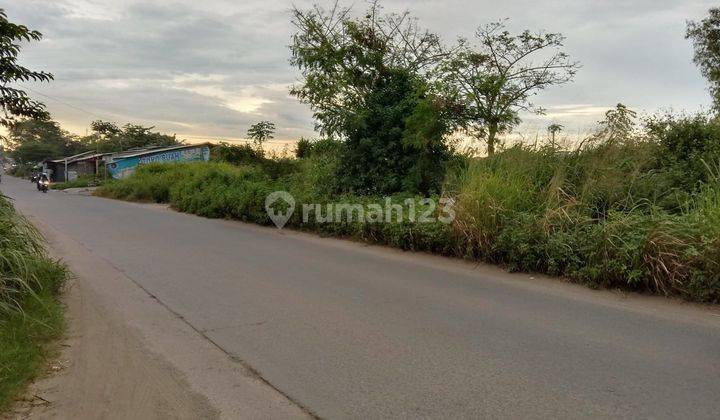 Tanah Dijual 23 Hektar Tanah Darat Bagus 2