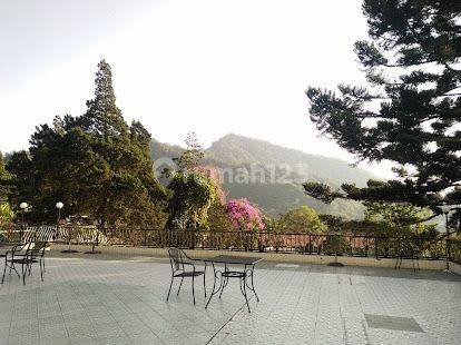 Hotel Dicipanas 5