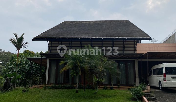 green cove, lina green cove, lina