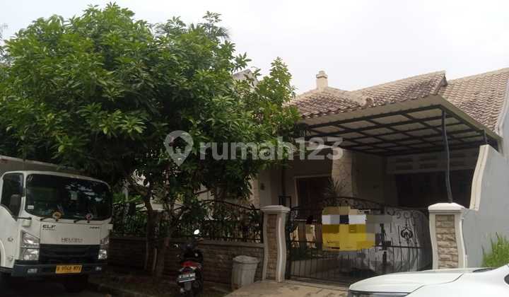 Orchid Loka, tasya Orchid Loka, tasya