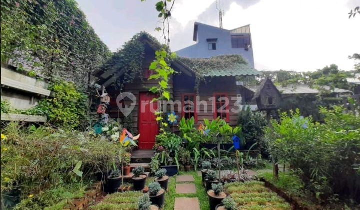Rumah Sewa Utk Usah di Kemang Jak Sel ,Lois Owr