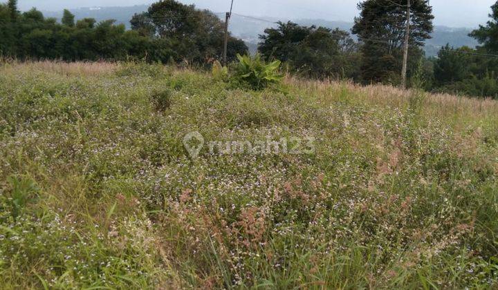 Tanah Gadog Puncak Bisa Masuk Mbl Tanahnya ,tasya 2