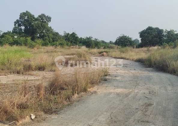 Strategic land for sale located on the main highway of Pantura Province, Lemah Abang, North Cikarang. Strategic land for sale located on the main highway of Pantura Province, Lemah Abang, North Cikarang.