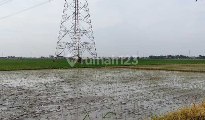 Land for sale, yellow zone designated for residential use in Srijaya village, North Tambun sub-district, 2 km from Gabus Cilincing toll road, Bekasi.