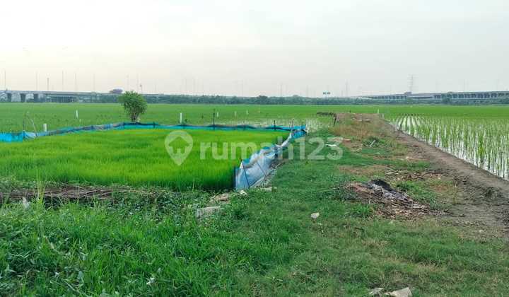 For sale, strategic land located in the heart of Gabus Bekasi, just 500 meters from the Gabus Tambun Utara toll exit.
