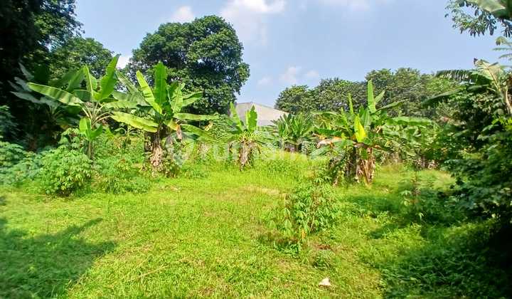 For Rent: Garden Land in Strategic Location Along Main Road Bantar Gebang-Setu, Bekasi For Rent: Garden Land in Strategic Location Along Main Road Bantar Gebang-Setu, Bekasi
