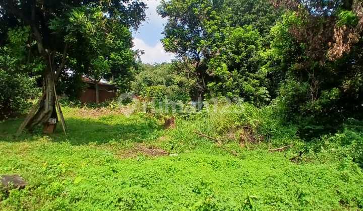 For Rent: Garden Land in Strategic Location Along Main Road Bantar Gebang-Setu, Bekasi For Rent: Garden Land in Strategic Location Along Main Road Bantar Gebang-Setu, Bekasi